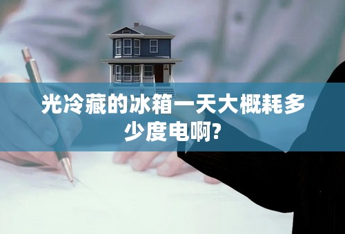 光冷藏的冰箱一天大概耗多少度电啊?
