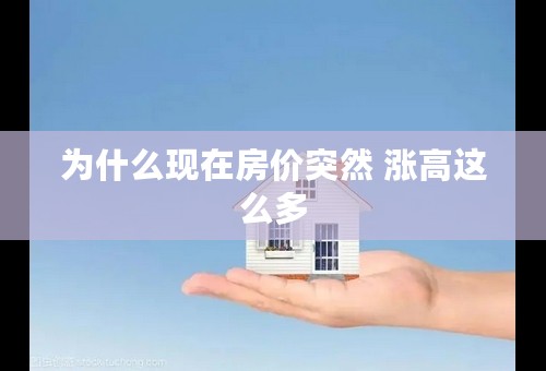 为什么现在房价突然 涨高这么多