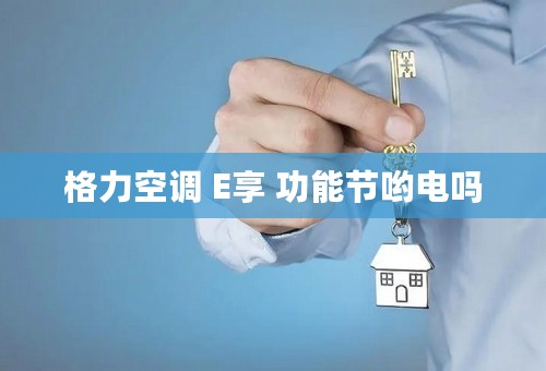 格力空调 E享 功能节哟电吗
