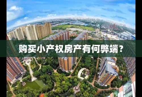 购买小产权房产有何弊端？