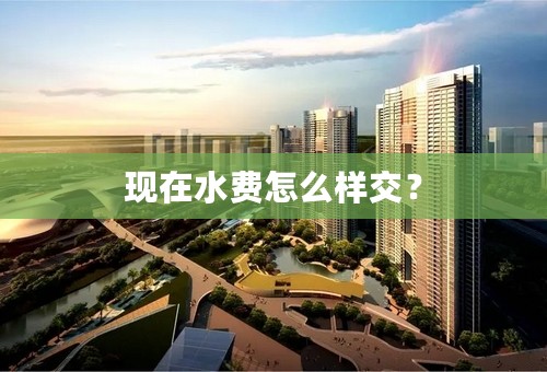 现在水费怎么样交？