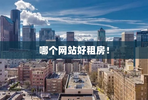哪个网站好租房！