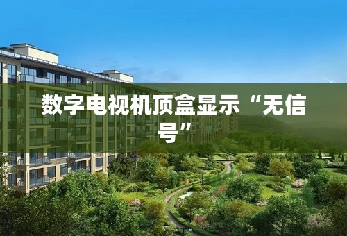数字电视机顶盒显示“无信号”