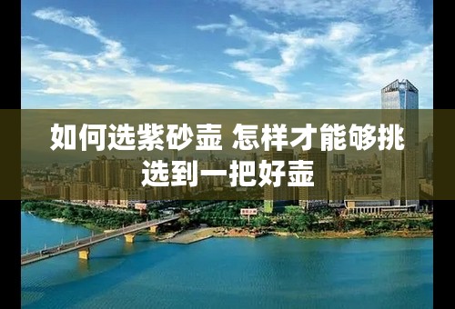 如何选紫砂壶 怎样才能够挑选到一把好壶