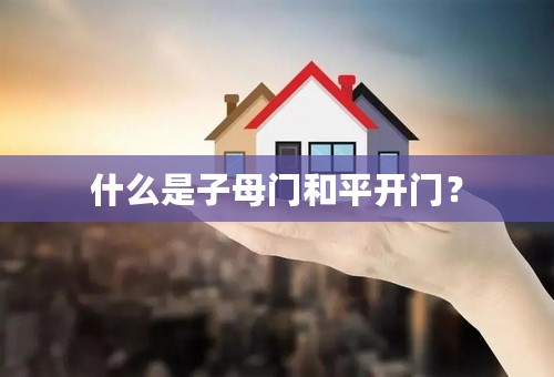什么是子母门和平开门？