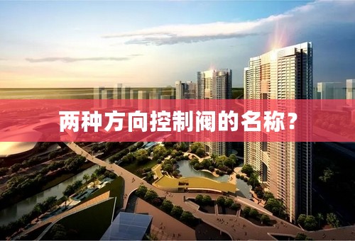 两种方向控制阀的名称？