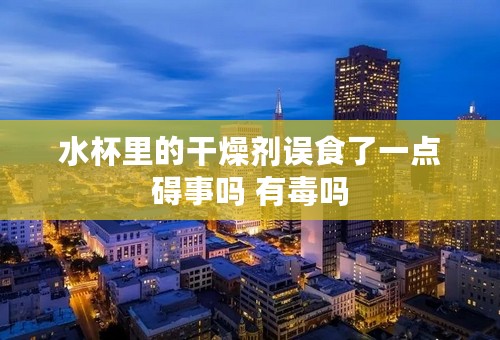 水杯里的干燥剂误食了一点碍事吗 有毒吗