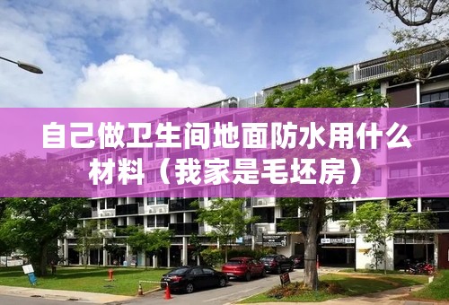 自己做卫生间地面防水用什么材料（我家是毛坯房）
