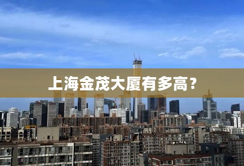 上海金茂大厦有多高？