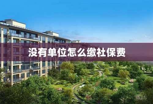 没有单位怎么缴社保费