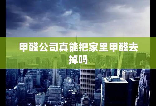 甲醛公司真能把家里甲醛去掉吗