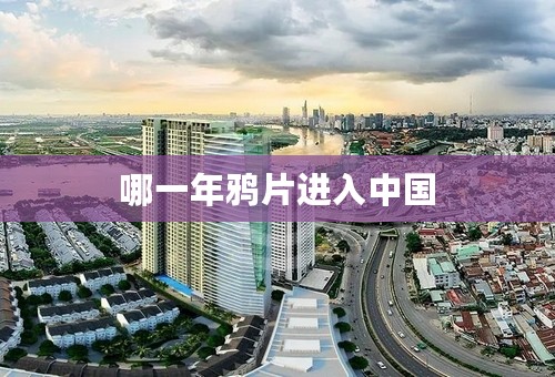哪一年鸦片进入中国