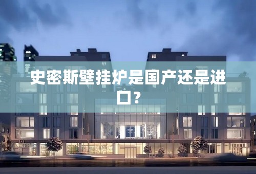 史密斯壁挂炉是国产还是进口？