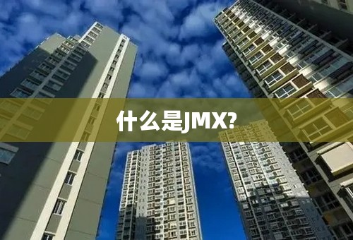 什么是JMX?