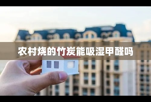 农村烧的竹炭能吸湿甲醛吗