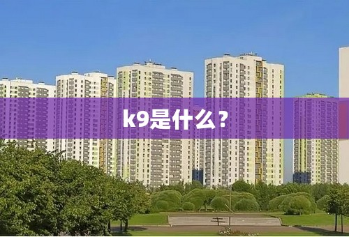k9是什么？