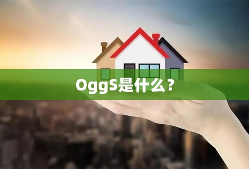 OggS是什么？