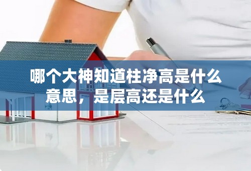 哪个大神知道柱净高是什么意思，是层高还是什么