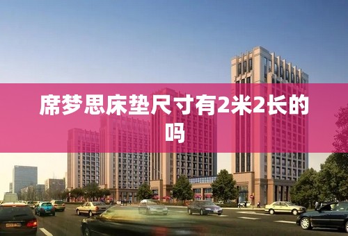 席梦思床垫尺寸有2米2长的吗