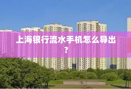 上海银行流水手机怎么导出？