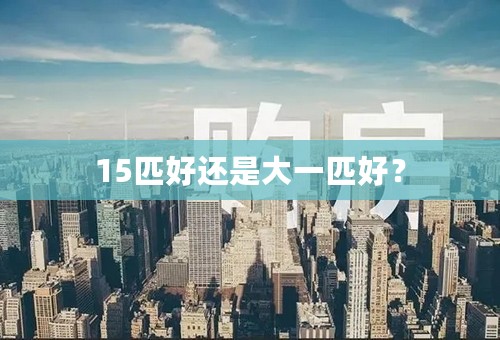 15匹好还是大一匹好？