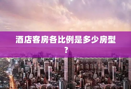 酒店客房各比例是多少房型？