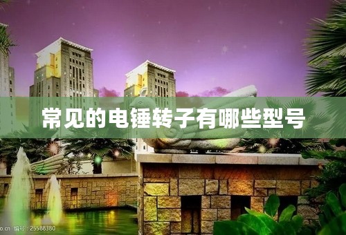 常见的电锤转子有哪些型号