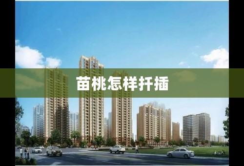 苗桃怎样扦插