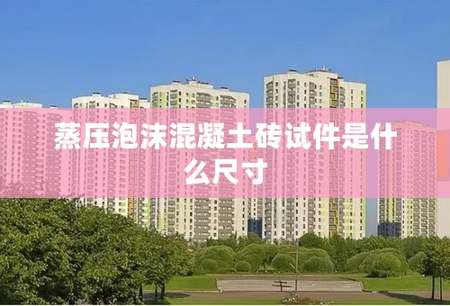 蒸压泡沫混凝土砖试件是什么尺寸