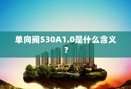 单向阀S30A1.0是什么含义？