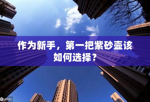 作为新手，第一把紫砂壶该如何选择？