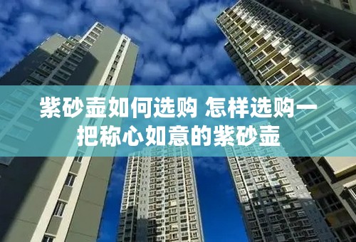 紫砂壶如何选购 怎样选购一把称心如意的紫砂壶