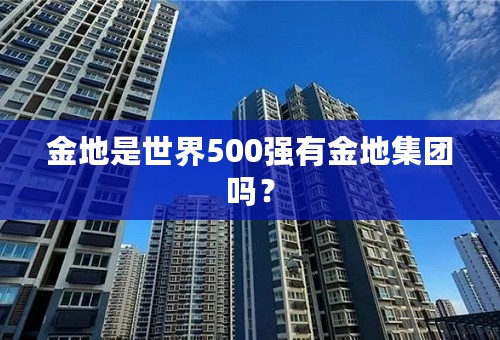 金地是世界500强有金地集团吗？