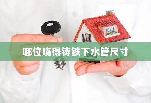 哪位晓得铸铁下水管尺寸