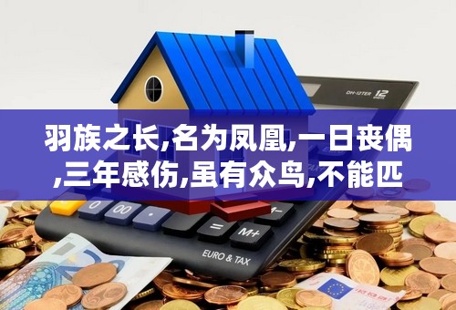 羽族之长,名为凤凰,一日丧偶,三年感伤,虽有众鸟,不能匹双.啥意思