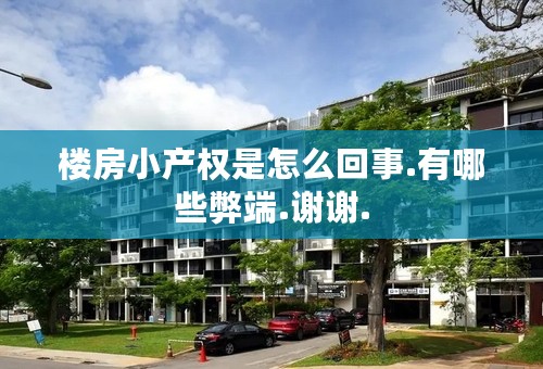 楼房小产权是怎么回事.有哪些弊端.谢谢.