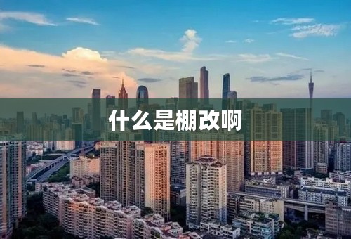 什么是棚改啊