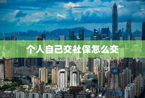 个人自己交社保怎么交