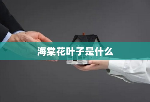 海棠花叶子是什么