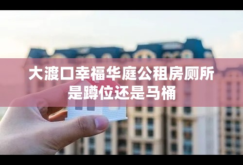 大渡口幸福华庭公租房厕所是蹲位还是马桶