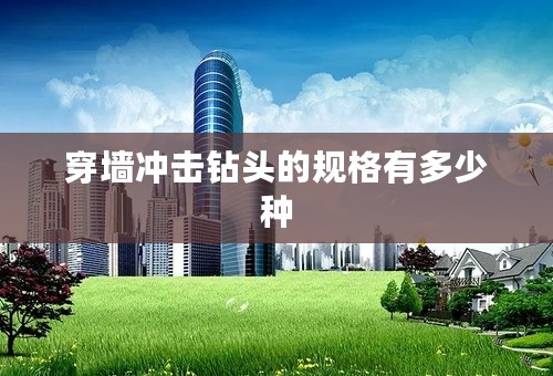 穿墙冲击钻头的规格有多少种