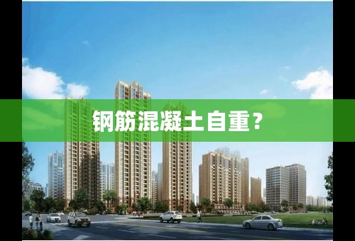钢筋混凝土自重？