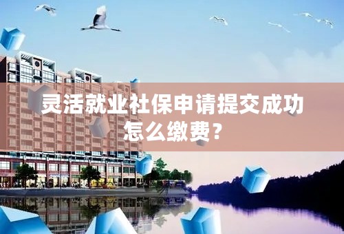 灵活就业社保申请提交成功怎么缴费？