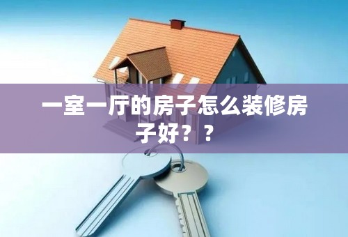 一室一厅的房子怎么装修房子好？？