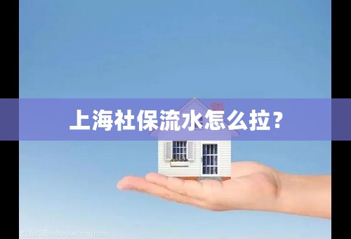上海社保流水怎么拉？