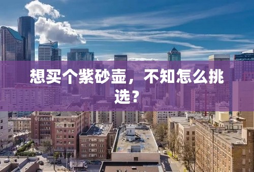 想买个紫砂壶，不知怎么挑选？