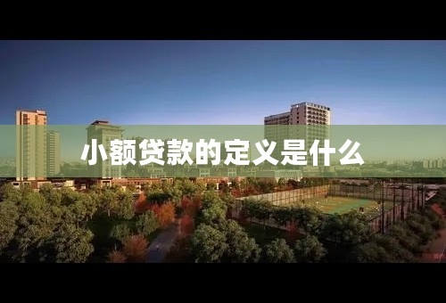小额贷款的定义是什么