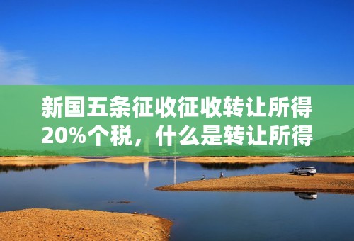 新国五条征收征收转让所得20%个税，什么是转让所得？细则还未出的地方要按照什么标准征税？