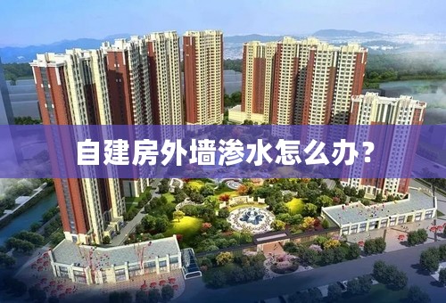 自建房外墙渗水怎么办？