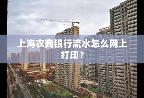 上海农商银行流水怎么网上打印？